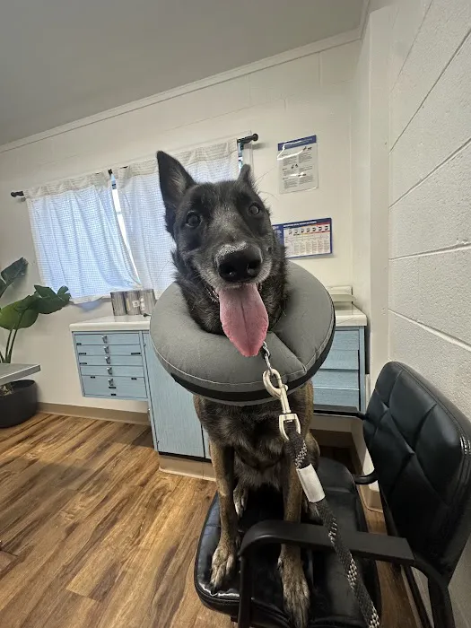 Hueneme Veterinary Center 3