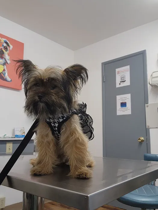 Hueneme Veterinary Center 7
