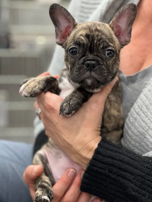 Hueneme Veterinary Center 6