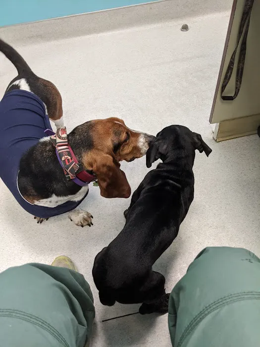 NBVC Vet Clinic 3