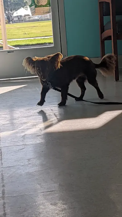 NBVC Vet Clinic 4