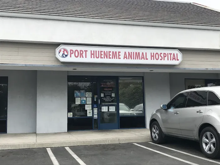 Port Hueneme Animal Hospital 9