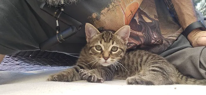 Port Hueneme Animal Hospital 7