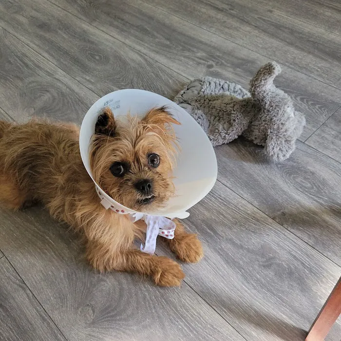 Banfield Pet Hospital 2