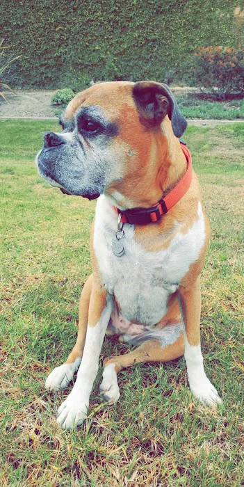 Banfield Pet Hospital 5