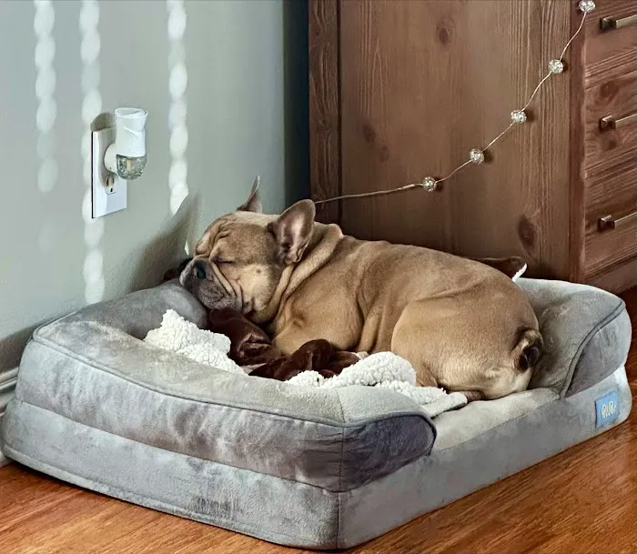 Banfield Pet Hospital 4
