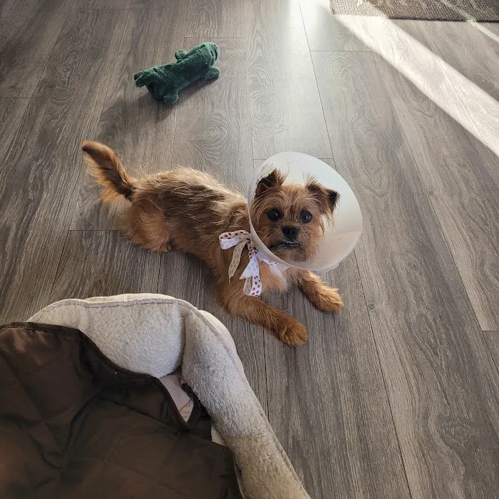 Banfield Pet Hospital 9