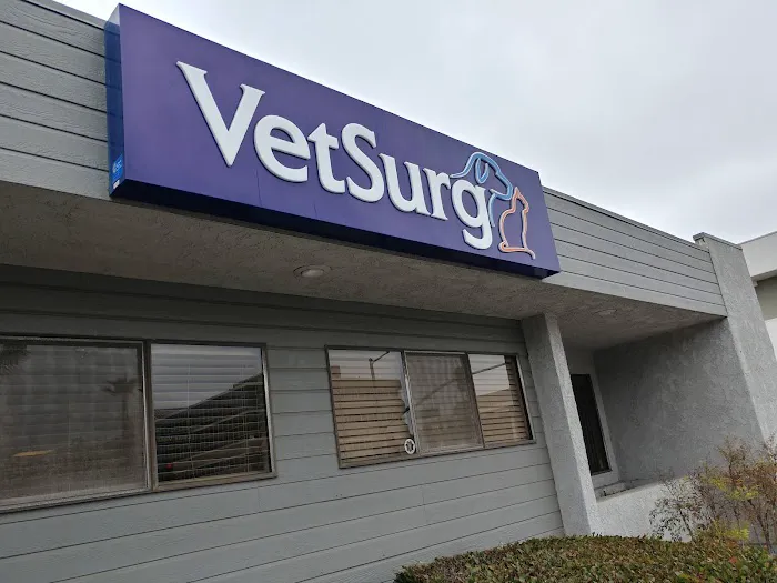 VetSurg 1