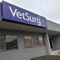 VetSurg ico