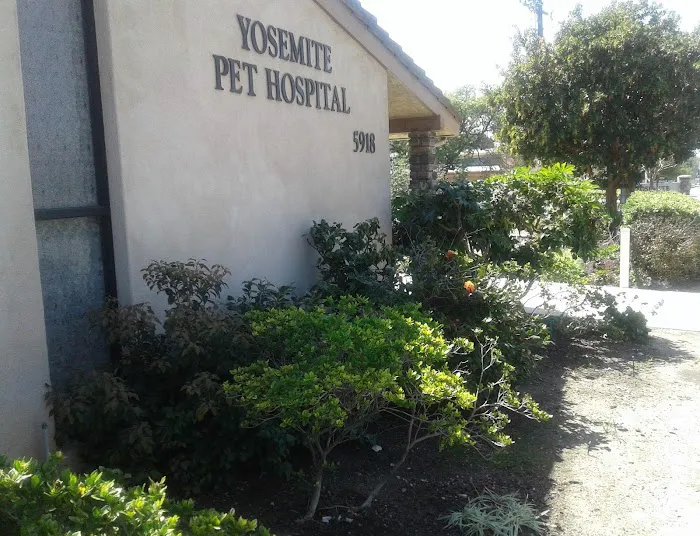 Yosemite Pet Hospital 3