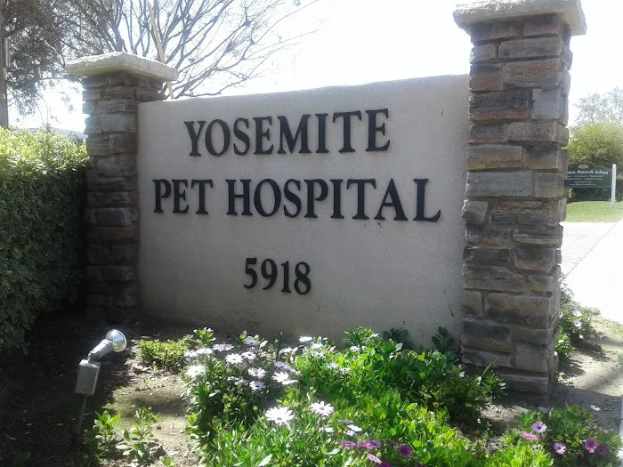 Yosemite Pet Hospital 5