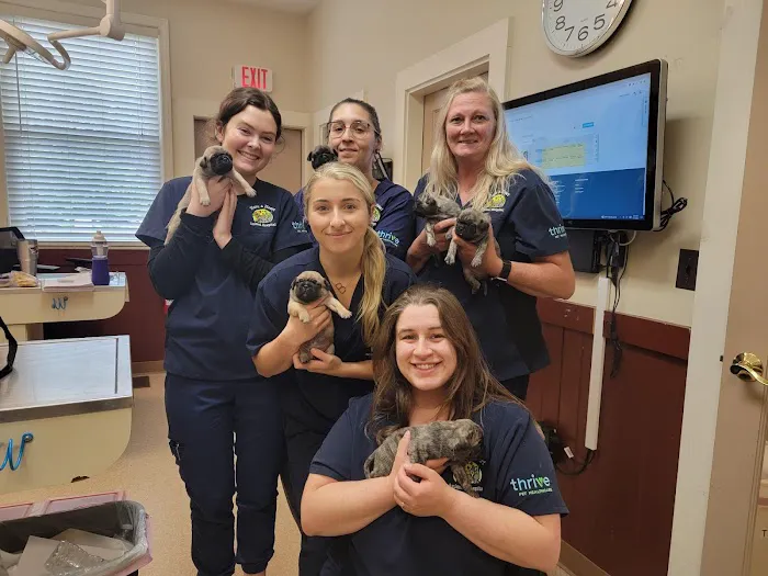 Have A Heart Animal Hospital, A Thrive Pet Healthcare Partner 3