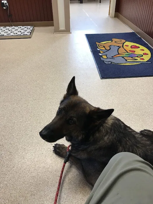 Have A Heart Animal Hospital, A Thrive Pet Healthcare Partner 5