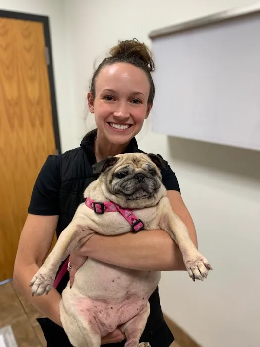 Plaistow-Kingston Animal Medical Center 5