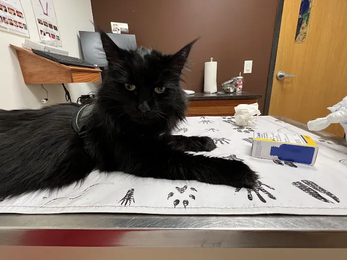 Plaistow-Kingston Animal Medical Center 3