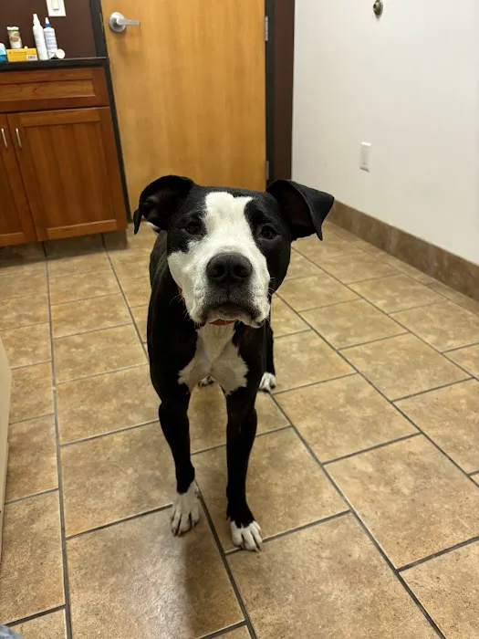 Plaistow-Kingston Animal Medical Center 8