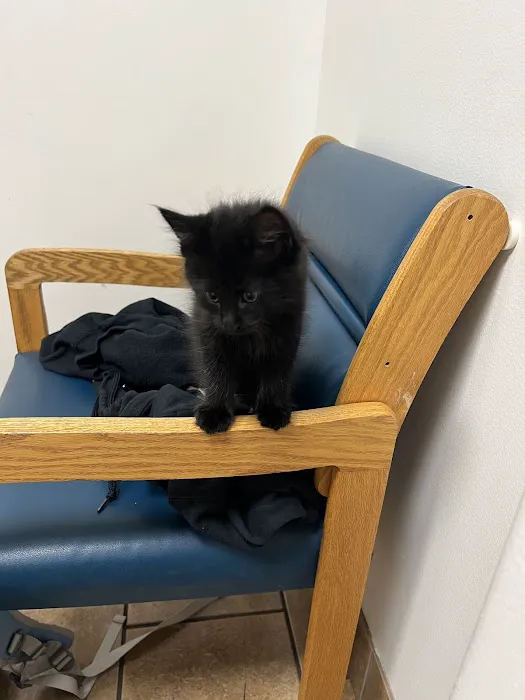 Plaistow-Kingston Animal Medical Center 9
