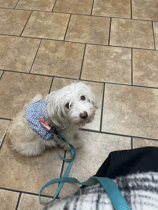Plaistow-Kingston Animal Medical Center 10
