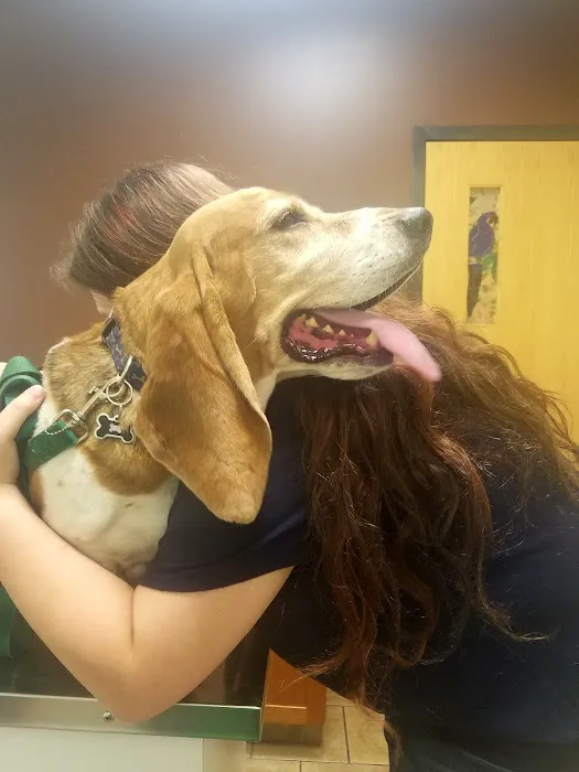 Plaistow-Kingston Animal Medical Center 3