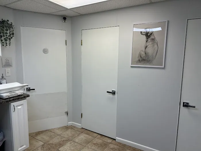 North Andover Haverhill Animal Hospital 1