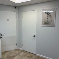 North Andover Haverhill Animal Hospital ico