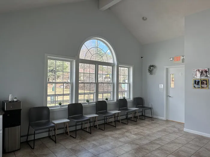 North Andover Haverhill Animal Hospital 4