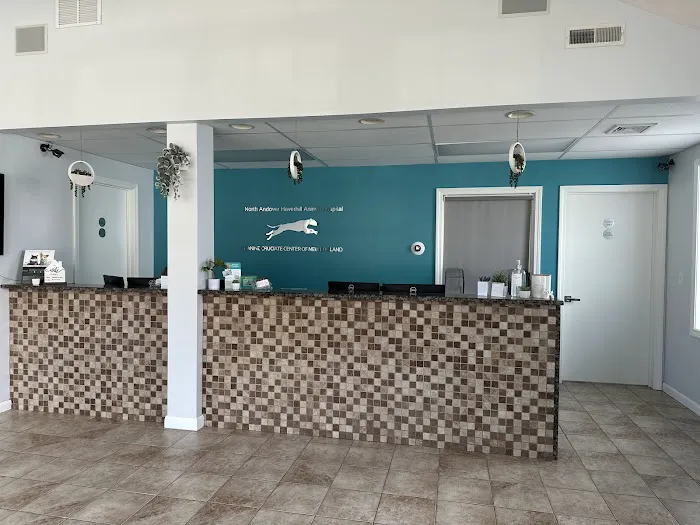 North Andover Haverhill Animal Hospital 2