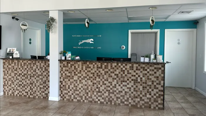 North Andover Haverhill Animal Hospital 3