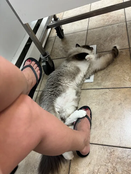 North Andover Haverhill Animal Hospital 7