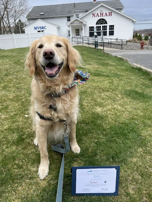 North Andover Haverhill Animal Hospital 10