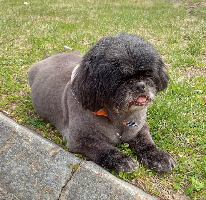 Oyster River Veterinary Hospital 1