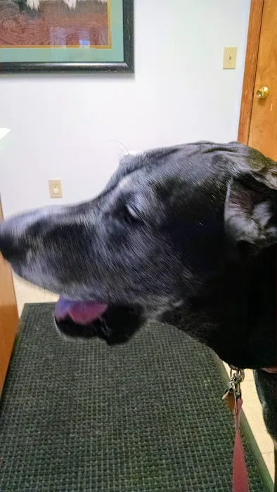 Oyster River Veterinary Hospital 4