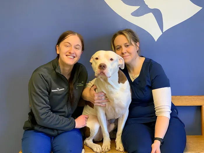 Oyster River Veterinary Hospital 5