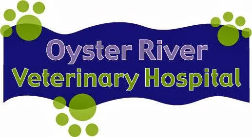 Oyster River Veterinary Hospital 8