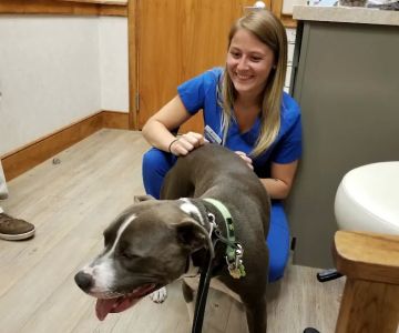 Broadview Animal Hospital: Gajewski Cathy F DVM
