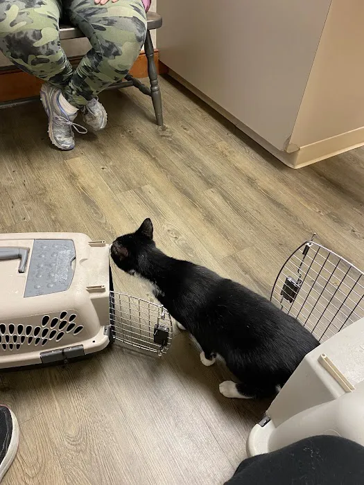 Broadview Animal Hospital of Rochester 3