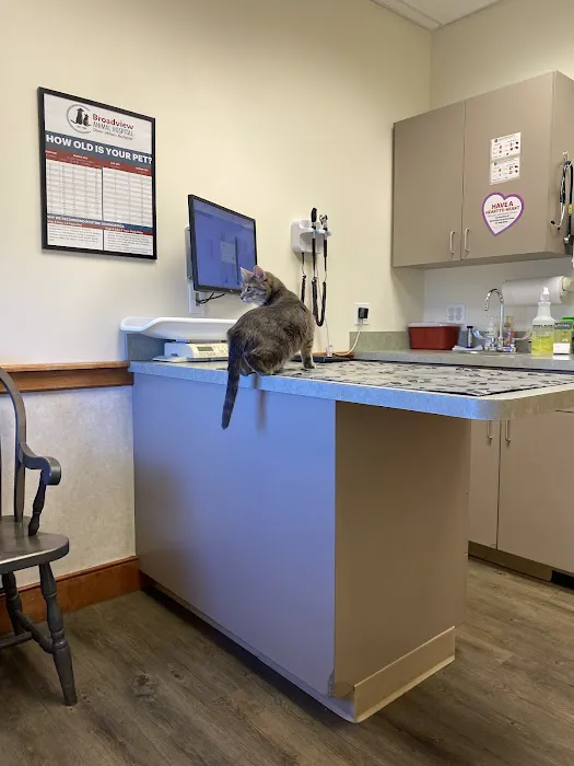 Broadview Animal Hospital of Rochester 4