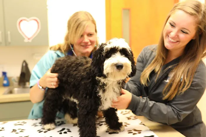 Broadview Animal Hospital of Rochester 1