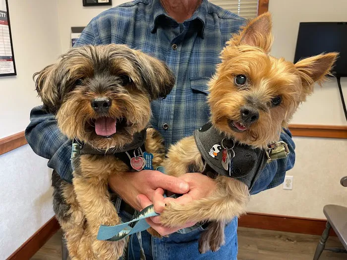 Broadview Animal Hospital of Rochester 7