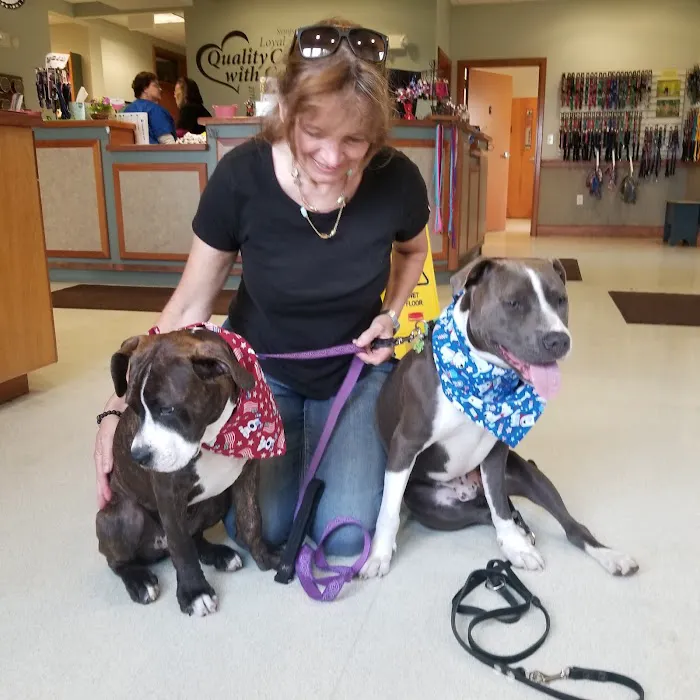 Broadview Animal Hospital of Rochester 5