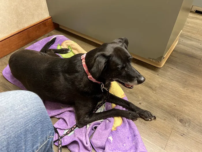 Broadview Animal Hospital of Rochester 10