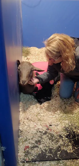 Myhre Equine Clinic 1