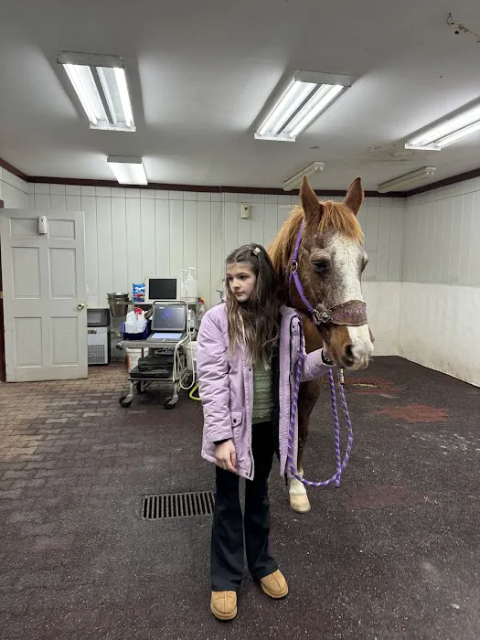 Myhre Equine Clinic 3