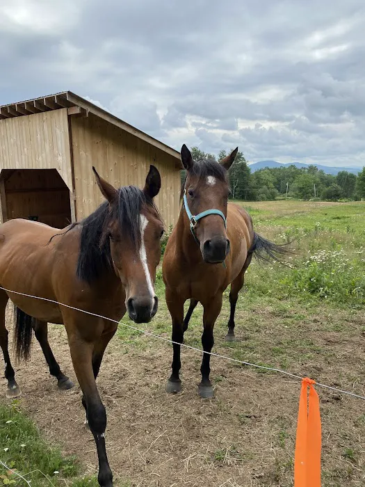 Myhre Equine Clinic 4