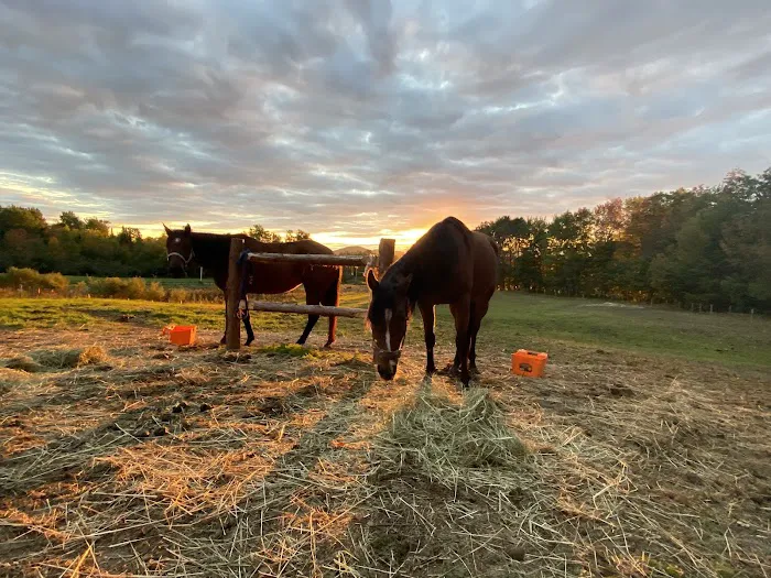 Myhre Equine Clinic 5