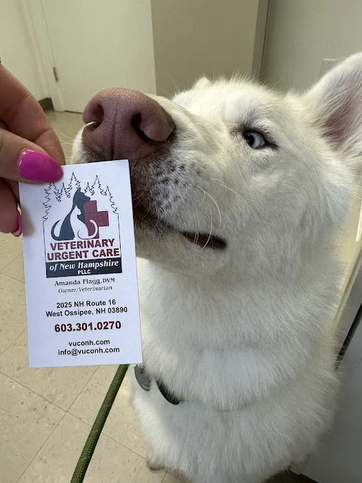 Veterinary Urgent Care of New Hampshire, PLLC 5