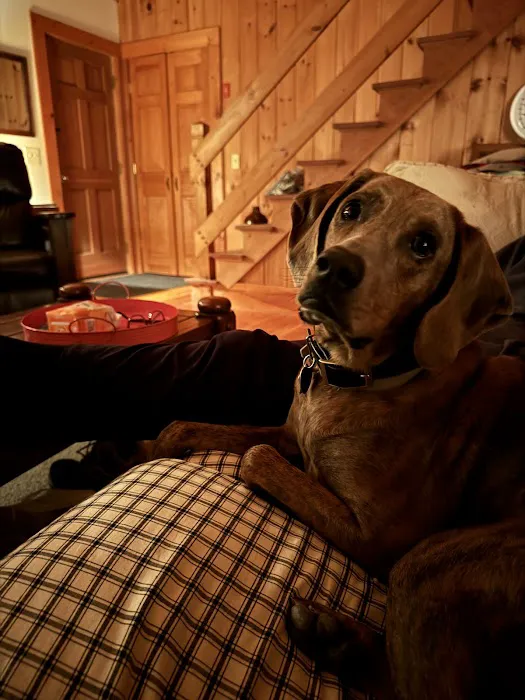 Veterinary Urgent Care of New Hampshire, PLLC 8