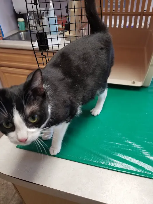 Acton Veterinary Clinic 3