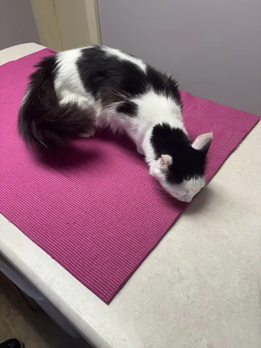 Acton Veterinary Clinic 2