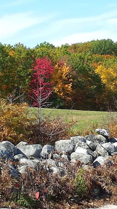 Acton Veterinary Clinic 6